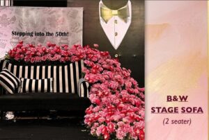 Read more about the article B & W Stage Sofa 2 Seater