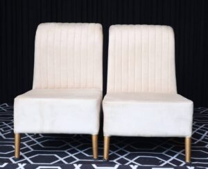 Read more about the article Vedi Chair white Lining