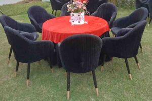 Read more about the article Black Arm Chair