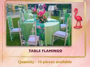 Read more about the article Table Flamingo